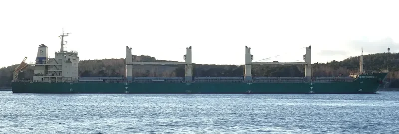 XIN ZHOU XING Bulk Carrier IMO 9626596 photo 6