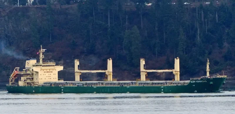 XIN ZHOU XING Bulk Carrier IMO 9626596 photo 7