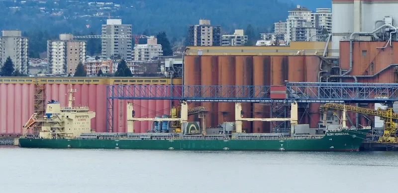 XIN ZHOU XING Bulk Carrier IMO 9626596 photo 8