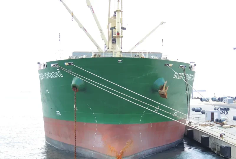 XIN ZHOU XING Bulk Carrier IMO 9626596 photo 9