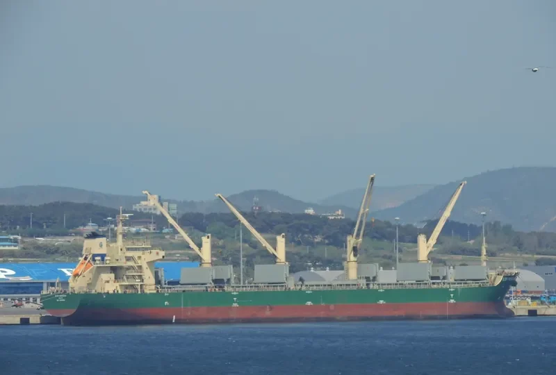XIN ZHOU XING Bulk Carrier IMO 9626596 photo 10