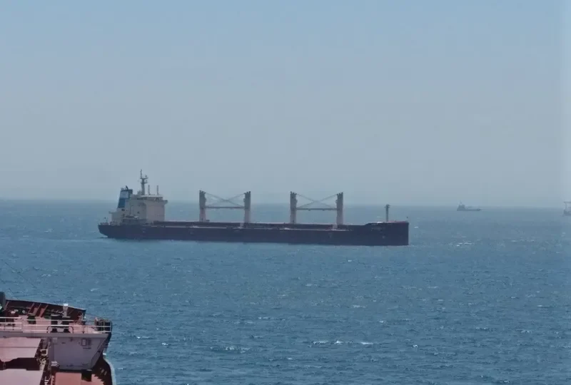 MOTHER M Bulk Carrier IMO 9626613