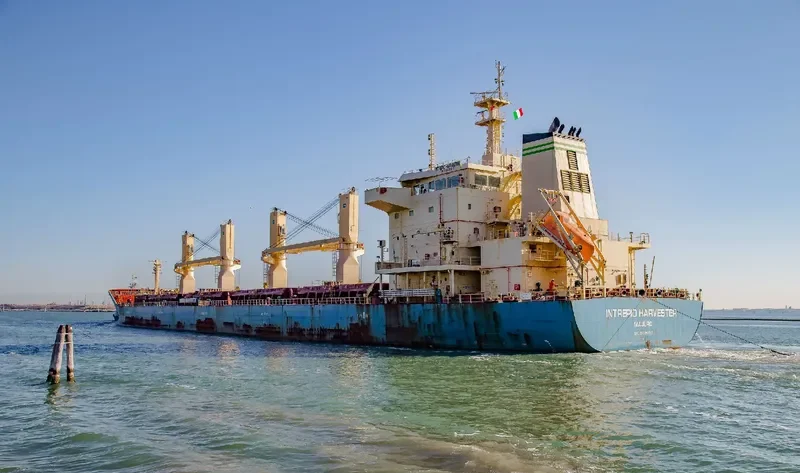 MOTHER M Bulk Carrier IMO 9626613 photo 3