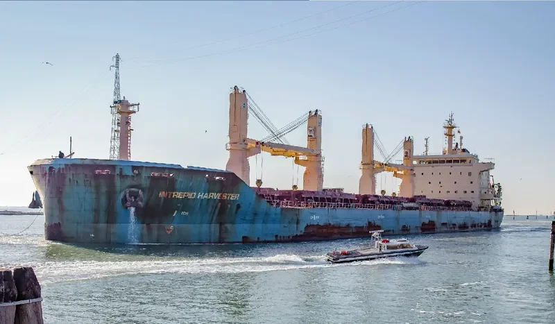 MOTHER M Bulk Carrier IMO 9626613 photo 4