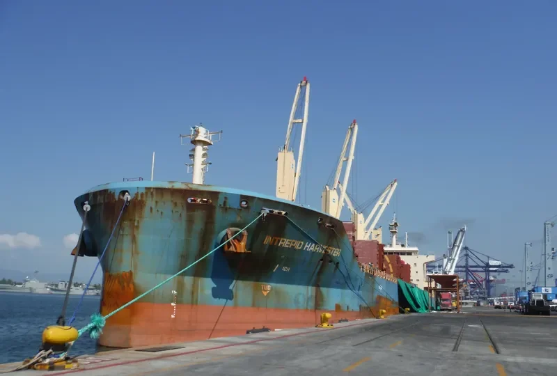 MOTHER M Bulk Carrier IMO 9626613 photo 5