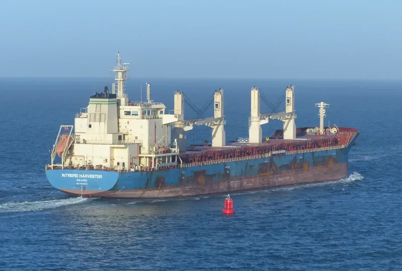 MOTHER M Bulk Carrier IMO 9626613 photo 6