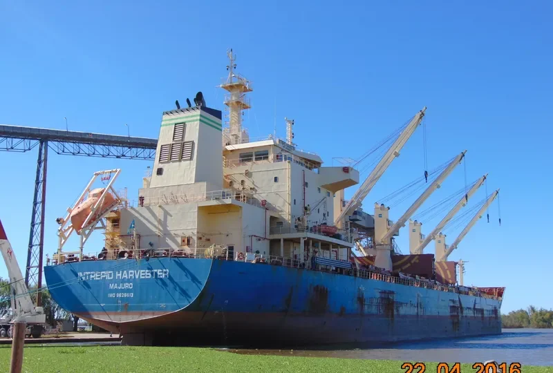 MOTHER M Bulk Carrier IMO 9626613 photo 9