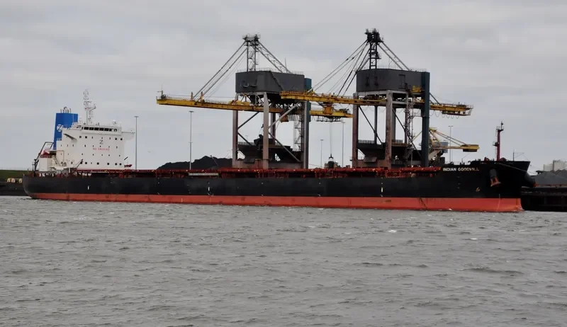 INDIAN GOODWILL Bulk Carrier IMO 9626675 photo 3