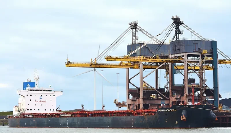 INDIAN GOODWILL Bulk Carrier IMO 9626675 photo 4
