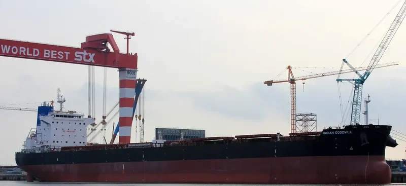 INDIAN GOODWILL Bulk Carrier IMO 9626675 photo 7