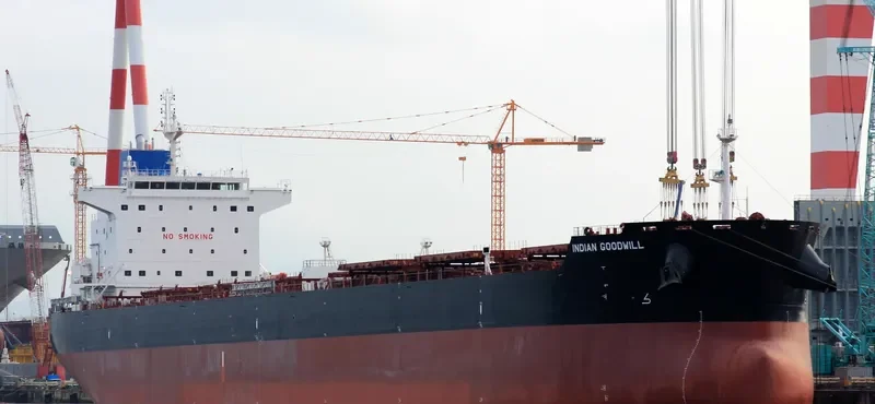 INDIAN GOODWILL Bulk Carrier IMO 9626675 photo 8