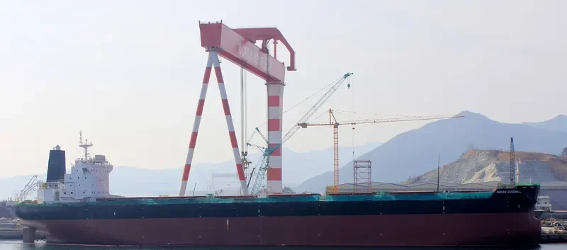 INDIAN GOODWILL Bulk Carrier IMO 9626675 photo 9