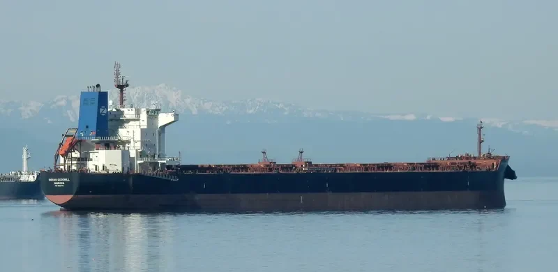 INDIAN GOODWILL Bulk Carrier IMO 9626675 photo 10