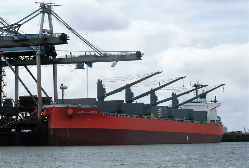 GLOBAL LAGUNA Bulk Carrier IMO 9626730 photo 2