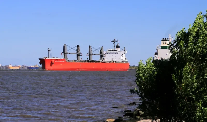 GLOBAL LAGUNA Bulk Carrier IMO 9626730 photo 3