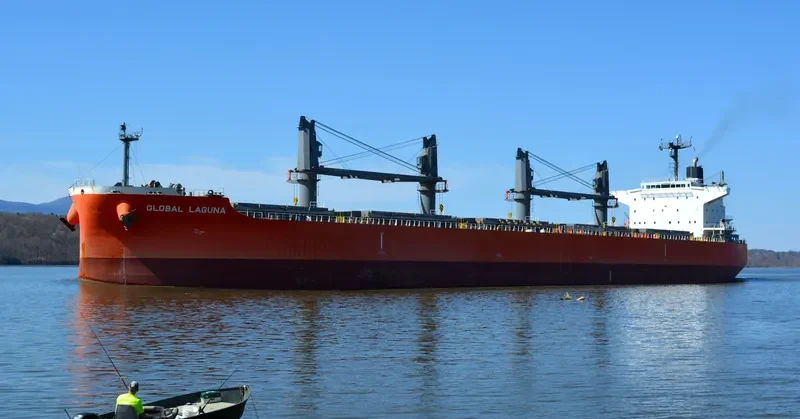 GLOBAL LAGUNA Bulk Carrier IMO 9626730 photo 7
