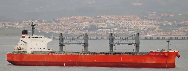 GLOBAL LAGUNA Bulk Carrier IMO 9626730 photo 8