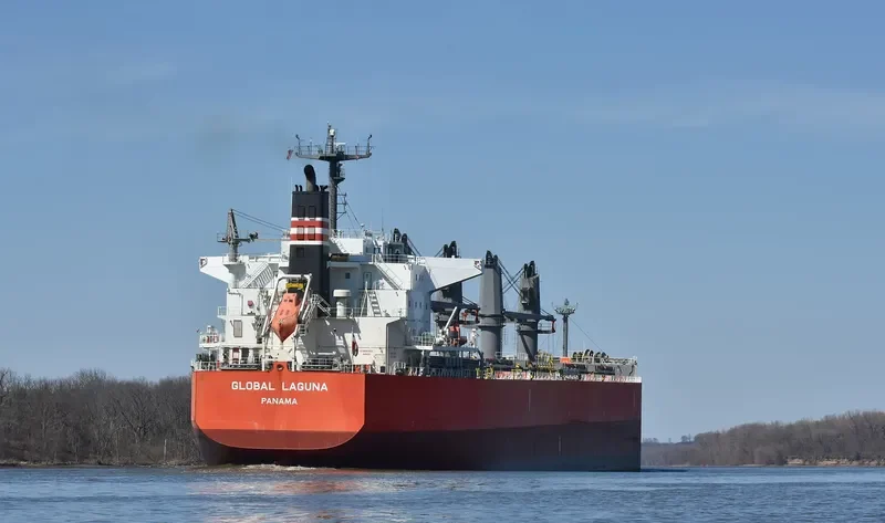 GLOBAL LAGUNA Bulk Carrier IMO 9626730 photo 9