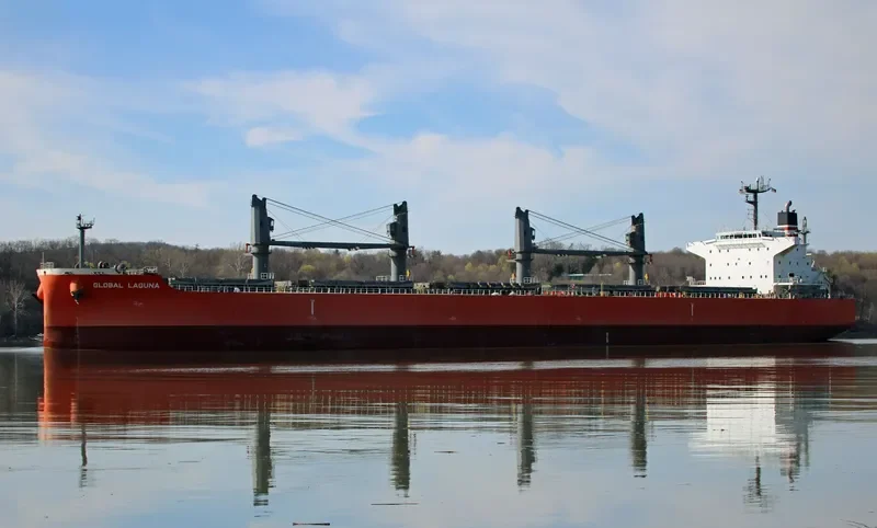 GLOBAL LAGUNA Bulk Carrier IMO 9626730 photo 10