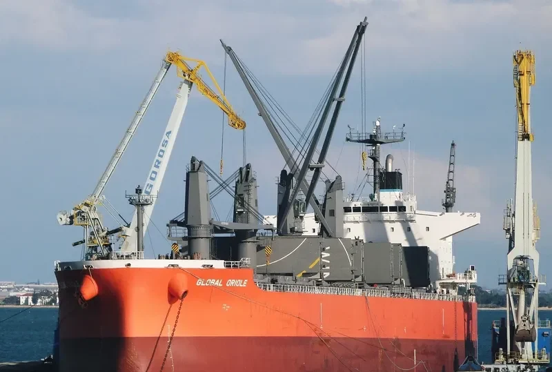 GLOBAL ORIOLE Bulk Carrier IMO 9626742