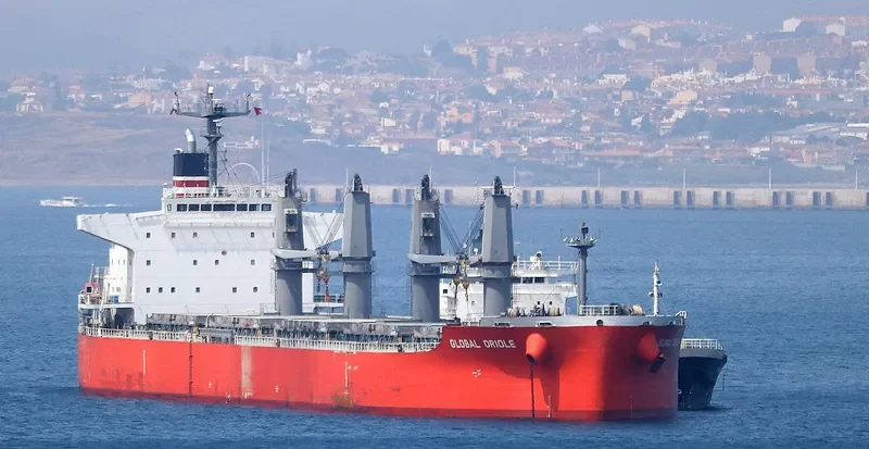 GLOBAL ORIOLE Bulk Carrier IMO 9626742 photo 2