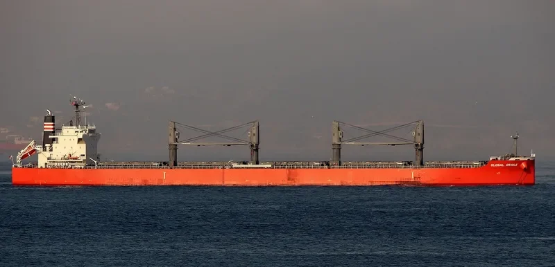 GLOBAL ORIOLE Bulk Carrier IMO 9626742 photo 3