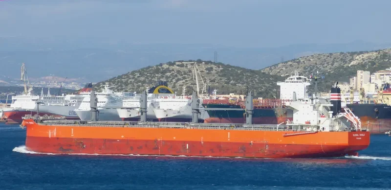 GLOBAL ORIOLE Bulk Carrier IMO 9626742 photo 4