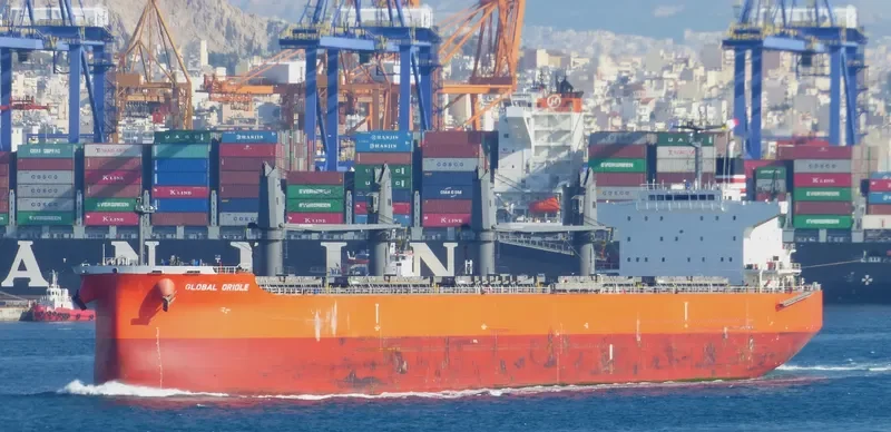 GLOBAL ORIOLE Bulk Carrier IMO 9626742 photo 6