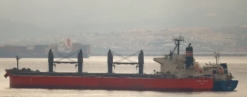 GLOBAL ORIOLE Bulk Carrier IMO 9626742 photo 7