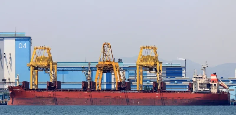 SUN LUCIA Bulk Carrier IMO 9626895 photo 5