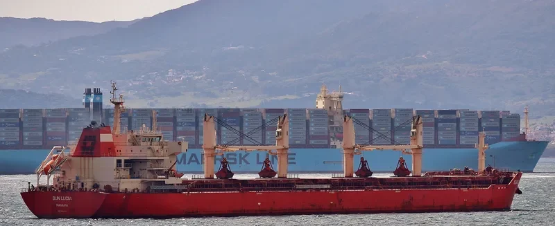 SUN LUCIA Bulk Carrier IMO 9626895 photo 7