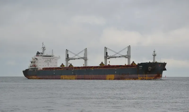 ECO Bulk Carrier IMO 9626900 photo 2