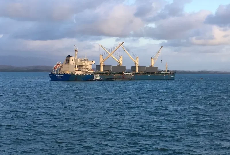 JIN MAO Bulk Carrier IMO 9626924