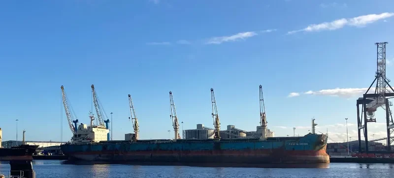 JIN MAO Bulk Carrier IMO 9626924 photo 3