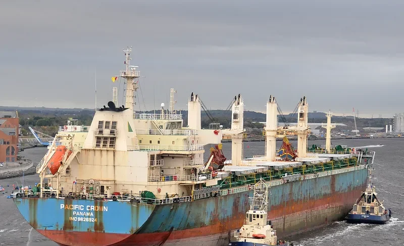 JIN MAO Bulk Carrier IMO 9626924 photo 4