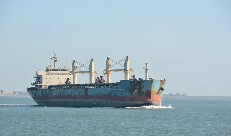 JIN MAO Bulk Carrier IMO 9626924 photo 6