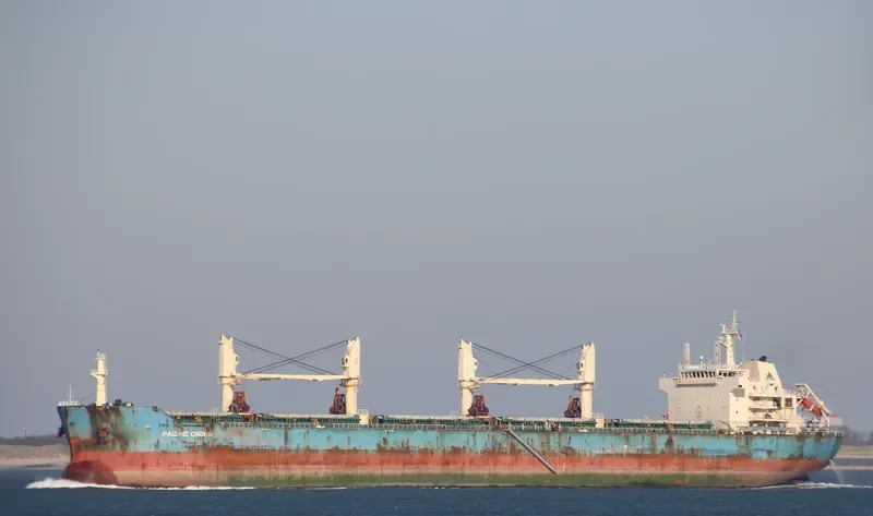 JIN MAO Bulk Carrier IMO 9626924 photo 7