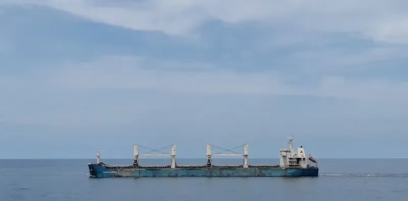 JIN MAO Bulk Carrier IMO 9626924 photo 8