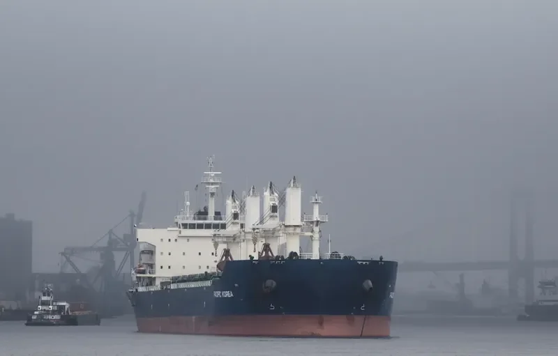 JIN BI Bulk Carrier IMO 9626948