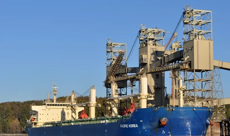JIN BI Bulk Carrier IMO 9626948 photo 4