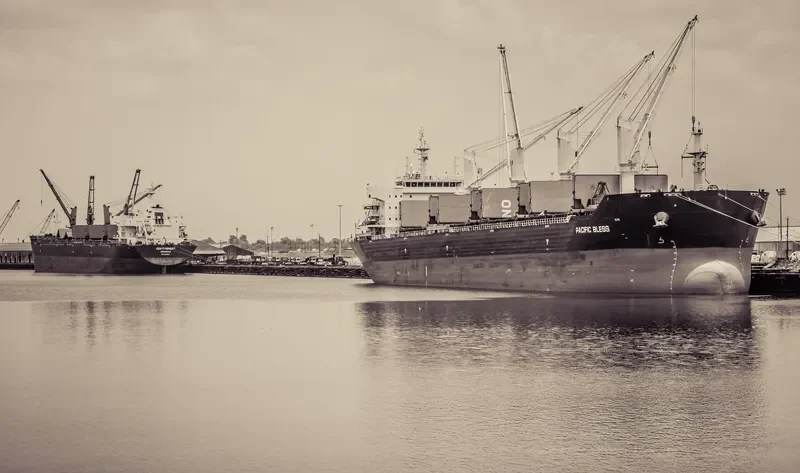 JIN BI Bulk Carrier IMO 9626948 photo 7