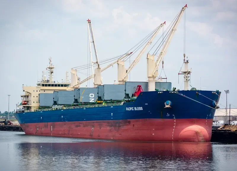 JIN BI Bulk Carrier IMO 9626948 photo 8