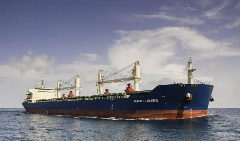 JIN BI Bulk Carrier IMO 9626948 photo 9