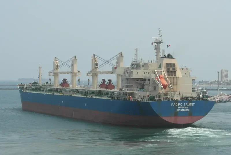 RUI FU AN Bulk Carrier IMO 9626950 photo 2