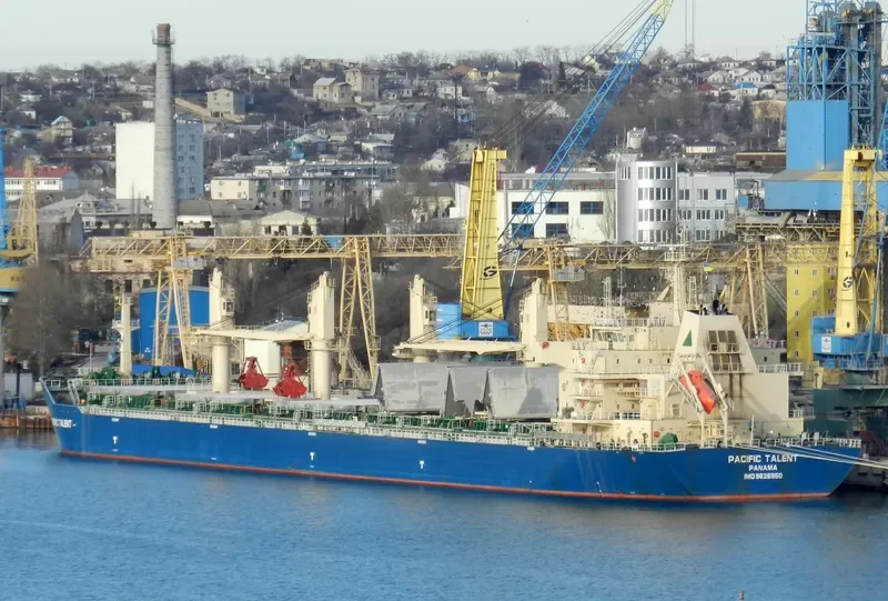 RUI FU AN Bulk Carrier IMO 9626950 photo 3