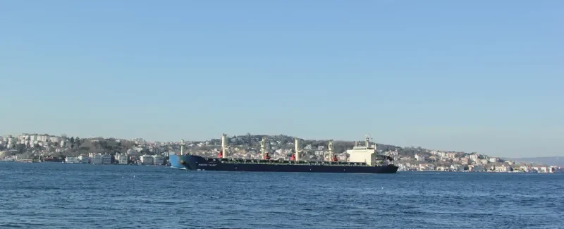 RUI FU AN Bulk Carrier IMO 9626950 photo 4