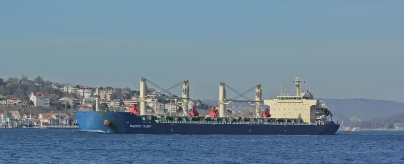 RUI FU AN Bulk Carrier IMO 9626950 photo 5