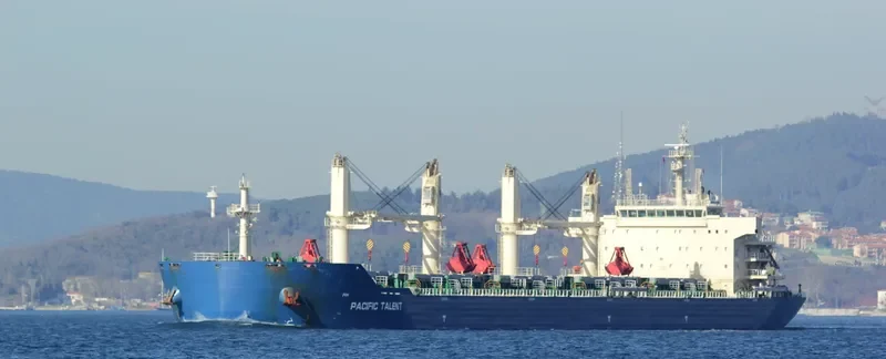 RUI FU AN Bulk Carrier IMO 9626950 photo 6