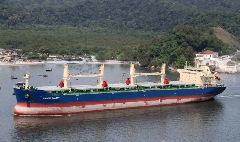RUI FU AN Bulk Carrier IMO 9626950 photo 7