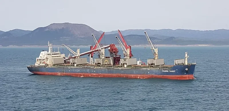 RUI FU AN Bulk Carrier IMO 9626950 photo 8